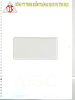 Báo cáo tài chính công ty mẹ năm 2009 (đã kiểm toán) - Công ty Cổ phần Ngoại thương và Phát triển Đầu tư Thành phố Hồ Chí Minh