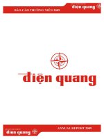 Báo cáo thường niên năm 2009 - Công ty Cổ phần Bóng đèn Điện Quang