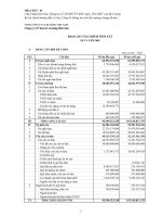 Báo cáo tài chính quý 4 năm 2009 - Công ty cổ phần VICEM Bao bì Bút Sơn