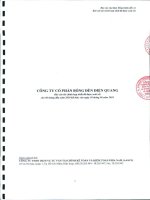 Báo cáo tài chính hợp nhất quý 2 năm 2010 (đã soát xét) - Công ty Cổ phần Bóng đèn Điện Quang