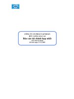 Báo cáo tài chính hợp nhất năm 2009 (đã kiểm toán) - Công ty Cổ phần Tập đoàn Đức Long Gia Lai