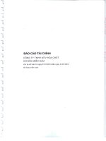 Báo cáo tài chính công ty mẹ năm 2013 (đã kiểm toán) - Công ty Cổ phần Hóa chất Cơ bản miền Nam