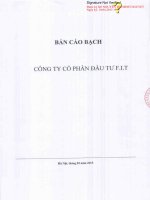 Bản cáo bạch - Công ty cổ phần Đầu tư F.I.T