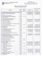 Báo cáo tài chính công ty mẹ quý 1 năm 2011 - Công ty Cổ phần Xuất nhập khẩu Y tế Domesco