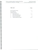 Báo cáo tài chính năm 2009 (đã kiểm toán) - Công ty Cổ phần VICEM Vật liệu Xây dựng Đà Nẵng