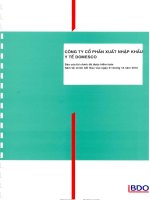 Báo cáo tài chính công ty mẹ năm 2010 (đã kiểm toán) - Công ty Cổ phần Xuất nhập khẩu Y tế Domesco