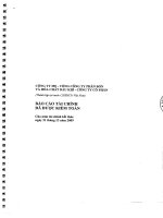 Báo cáo tài chính công ty mẹ năm 2009 (đã kiểm toán) - Tổng Công ty Phân bón và Hóa chất Dầu khí-CTCP