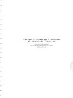Báo cáo tài chính hợp nhất năm 2009 (đã kiểm toán) - Tổng Công ty Cổ phần Đầu tư Phát triển Xây dựng