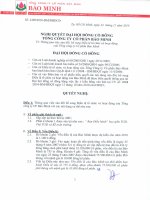 Nghị quyết đại hội cổ đông ngày 24-11-2010 - Tổng Công ty Cổ phần Bảo Minh