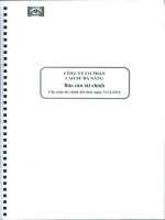 Báo cáo tài chính năm 2010 (đã kiểm toán) - Công ty Cổ phần Cao su Đà Nẵng
