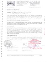 Báo cáo tài chính công ty mẹ năm 2009 (đã kiểm toán) - Công ty Cổ phần Tập đoàn Đức Long Gia Lai