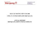 Báo cáo thường niên năm 2008 - Công ty Cổ phần Bóng đèn Điện Quang