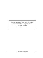 Báo cáo tài chính công ty mẹ quý 1 năm 2010 - Công ty Cổ phần Đầu tư và Xây dựng Thành Nam