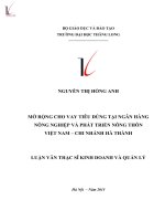 Luận văn mở rộng cho vay tiêu dùng tại ngân hàng nông nghiệp và phát triển nông thôn việt nam, chi nhánh hà thành 