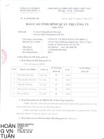 Báo cáo tình hình quản trị công ty - Công ty Cổ phần Hãng sơn Đông Á