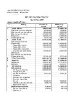 Báo cáo tài chính quý 2 năm 2009 - Công ty Cổ phần Sách - Thiết bị trường học Hà Tĩnh