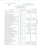 Báo cáo tài chính quý 2 năm 2015 - Công ty Cổ phần Dược phẩm Trung ương 3