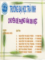Chuyên đề phỏng vấn xin việc