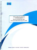 Báo cáo tài chính hợp nhất năm 2009 (đã kiểm toán) - Tổng Công ty cổ phần Y tế Danameco