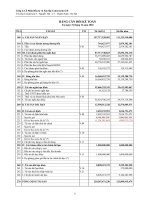 Báo cáo tài chính quý 4 năm 2010 - Công ty cổ phần Đầu tư và Xây lắp Constrexim số 8