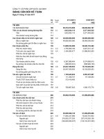 Báo cáo tài chính năm 2011 - Công ty Cổ phần Cấp nước Gia Định