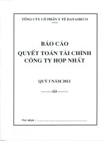 Báo cáo tài chính hợp nhất quý 1 năm 2011 - Tổng Công ty cổ phần Y tế Danameco
