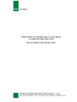Báo cáo tài chính công ty mẹ quý 1 năm 2013 - Tổng Công ty Cổ phần Đầu tư Xây dựng và Thương mại Việt Nam