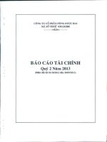 Báo cáo tài chính công ty mẹ quý 2 năm 2013 - Công ty Cổ phần Nông dược H.A.I