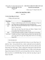 Báo cáo thường niên năm 2010 - Công ty Cổ phần Thương mại Bia Hà Nội