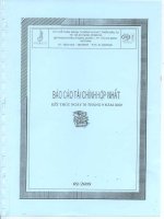 Báo cáo tài chính quý 3 năm 2009 - Công ty Cổ phần Ngoại thương và Phát triển Đầu tư Thành phố Hồ Chí Minh