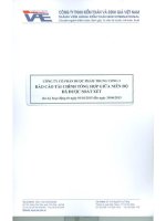 Báo cáo tài chính quý 2 năm 2015 (đã soát xét) - Công ty Cổ phần Dược phẩm Trung ương 3