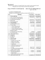 Báo cáo tài chính quý 2 năm 2009 - Công ty Cổ phần Bản đồ và Tranh ảnh Giáo dục