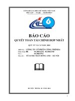 Báo cáo tài chính hợp nhất quý 4 năm 2010 - Công ty Cổ phần Công trình 6