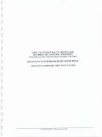 Báo cáo tài chính năm 2013 (đã kiểm toán) - Công ty Cổ phần Đầu tư Thương mại Bất động sản An Dương Thảo Điền