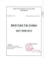 Báo cáo tài chính quý 1 năm 2013 - Công ty cổ phần Đầu tư và Phát triển Cảng Đình Vũ