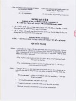 Nghị quyết Đại hội cổ đông bất thường ngày 13-01-2011 - Công ty cổ phần Đầu tư Hạ tầng Kỹ thuật T.P Hồ Chí Minh