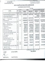 Báo cáo KQKD quý 3 năm 2010 - Công ty Cổ phần Kỹ nghệ Đô Thành