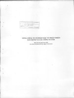 Báo cáo tài chính hợp nhất quý 1 năm 2010 - Tổng Công ty Cổ phần Đầu tư Phát triển Xây dựng