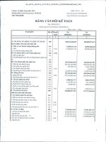 Báo cáo tài chính công ty mẹ quý 4 năm 2013 - Công ty Cổ phần Nông dược H.A.I