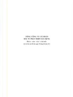 Báo cáo tài chính công ty mẹ quý 2 năm 2011 - Tổng Công ty Cổ phần Đầu tư Phát triển Xây dựng
