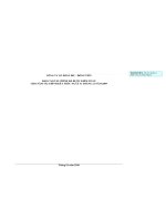Báo cáo tài chính năm 2009 (đã kiểm toán) - Công ty Cổ phần DIC - Đồng Tiến