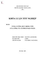 Luận văn tăng cường huy động vốn của công ty cổ phần bảo toàn 