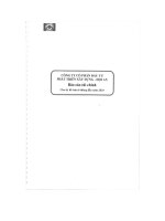 Báo cáo tài chính 6 tháng đầu năm 2010 - Công ty Cổ phần Đầu tư Phát triển Xây dựng - Hội An