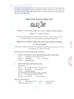 Bản cáo bạch năm 2010 - Công ty Cổ phần Đầu tư Phát triển Công nghệ Điện tử Viễn thông