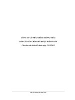 Báo cáo tài chính năm 2013 (đã kiểm toán) - Công ty Cổ phần Diêm Thống Nhất
