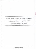 Báo cáo tài chính năm 2013 (đã kiểm toán) - Công ty cổ phần Đầu tư và Phát triển Cảng Đình Vũ