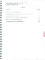 Báo cáo tài chính hợp nhất quý 2 năm 2012 (đã soát xét) - Công ty Cổ phần Xuất nhập khẩu Y tế Domesco