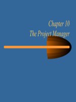 Chapter 10 The Project Manager