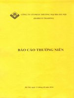 Báo cáo thường niên năm 2013 - Công ty Cổ phần Thương mại Bia Hà Nội