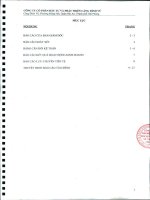 Báo cáo tài chính quý 2 năm 2011 (đã soát xét) - Công ty cổ phần Đầu tư và Phát triển Cảng Đình Vũ